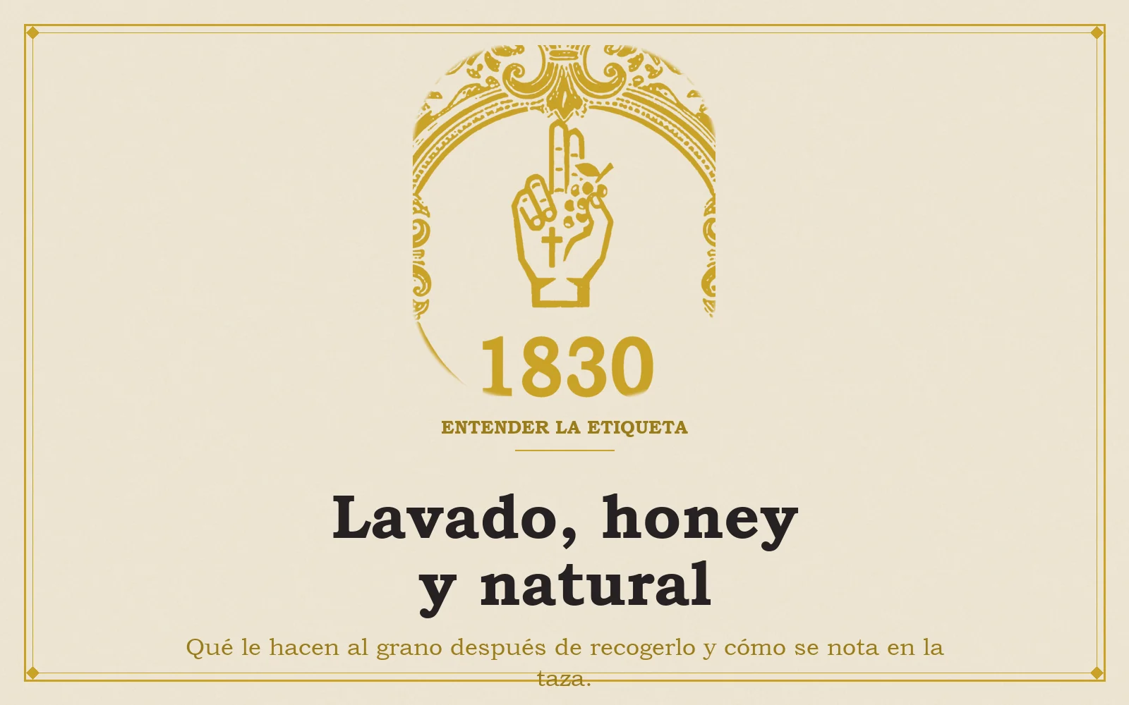 Medallón de la etiqueta de Café Penitente sobre fondo marfil con el título Lavado, honey y natural